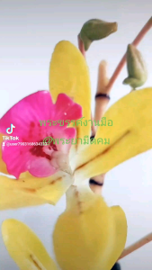 ดาบพระขรรค์