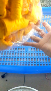 กลีบอัดดอกไม้จันทน์สีเหลืองทอง 80 แกรม ขนาด8ซ.ม