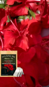 Hibiscus Tea