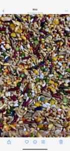 Ngũ cốc gà L1 - 5KG 125k tặng Muỗng Định Lượng