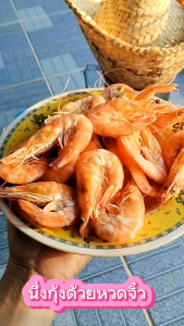 หวดจิ๋วพร้อมฝาปิด - คาดติวแนวตั้ง - หมู่เทียบกับฝาปิด