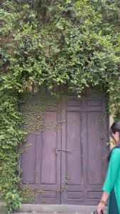 Áo dài Gấm Xanh Lá cách tân nữ dáng suông xưa Chaang may sẵn áo dài xuông rộng bầu dự tiệc cưới hỏi lễ tết đẹp ADC768