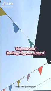Bendera Segitiga Bunting flag warna warni HUT BENDERA HIAS FESTIVAL-Warna wani dan merah putih