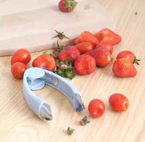 คลิปถอดแกนสับปะรด ผัก ผลไม้ สตรอเบอร์รี่ สร้างสรรค์