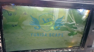 BUSA SERABUT PEMBERSIH LUMUT ALGAE KERAK AQUARIUM