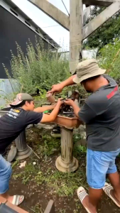 Alat Kerajinan Pahat Ukir Kayu Jepara Pahat Bonsai Tatah Ukir Paket P2