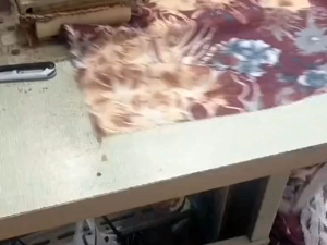 Hijab Segi Empat Voal Motif Terbaru