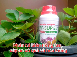 Phân cá biển Lavamix đậm đặc chai 250ml. Giúp cây ra rễ mạnh lớn nhanh cải tạo đất
