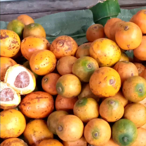 #หมากสด หมากสุก หมากนอกฤดู ตัด สด ใหม่ จากต้น ส่งตรงถึงบ้านลูกค้า ชาวสวนมาเอง  หอมหมากใหม่ กรอบมันหมาสด ฝาดพอดี อร่อย อย่างลงตัว รับประกันไม่มีหนอน เก็บได้นาน ร้านเปิดใหม่กดสั่งซื้อตอนี้ แถมแบบจุกๆ 1กิโล 169฿