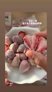 Tyl Ursnack Freeze Dried Fruit / Snack Durian Vacum / Strawberry Beku