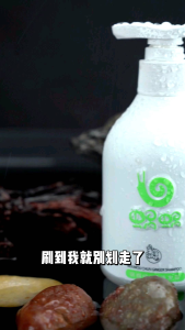 WOWO Pure Ginger Hair Shampoo