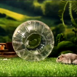 BOLA GLINDING HAMSTER MINI《10CM》- HAMSTER ROTATION BALL MINI