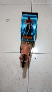 MAINAN KENDARAAN KUDA DELMAN LAMPU DAN MUSIK