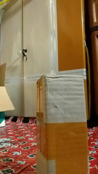 Buyer review video 2