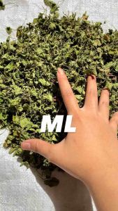 100 gram Daun pegagan kering asli bukan kering dari oven