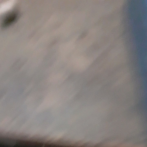 Busi Mesin Potong Rumput 4Tak: Bosxh Asli & Minyak Murni