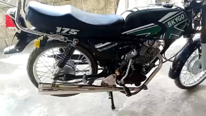 H2 CHICKEN PIPE FOR TMX RUSI SKYGO EURO PNOY MOTORSTAR EXT