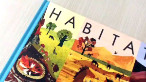 Little Tiger Habitats