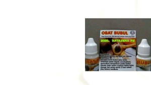 Obat Bubul Kaki Ayam Ampuh