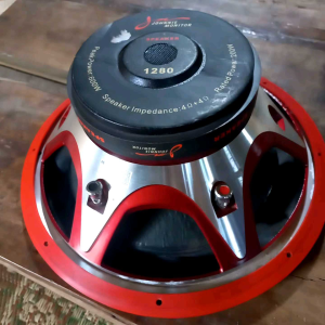 loudspeaker subwoofer 12" double coil
