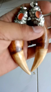 taring HM KW ring perak alpaka