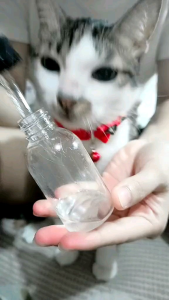 EVCO 20 ML BOTOL PIPET || OBAT JAMURAN INFEKSI KULIT SCABIES BUKU RONTOK KUCING BURUNG ANJING - VIRGIN COCONUT OIL