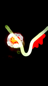 Paket Lampu Depan Honda Vario 125 Reflektor Teknologi KZR & Daymaker Plus