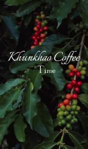 เมล็ดกาแฟอาราบิก้า 100% เทพเสด็จ เชียงใหม่ ขนาด 250 กรัม