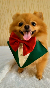 baju anjing baju kucing tipe bibs natal frosty boy christmas