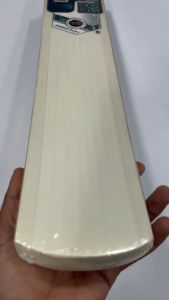 SS Power Play English Willow Cricket Bat SH Adult