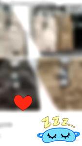 Celana Pendek Pria Boarshoad Premium /Celana Pendek Chino Santai Bahan Katun Distro Melar/Celana Pria/Celana Santai