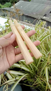 once pipa klokotan tulang sapi kristal model bulat premium A43