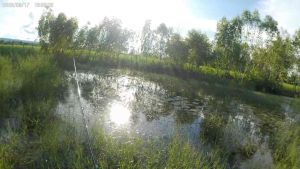 🔥 กบยางยักษ์ ขนาด 3 เซน หนัก 6 กรัม 2 ใบหลิว เคาะดัง กบยางไทย กบยางเล็กๆ กบยางถูกๆ ยางนุ่ม เบ็ดคม วัดเป็นติด เหยื่อยาง กบยาง 1 บาท