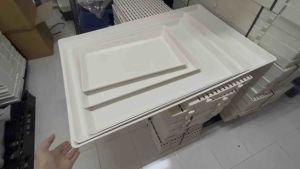 ถาดสีขาว ถาด กรงสัตว์ ปลูดต้นไม้ วางของหลังรถ วางของ