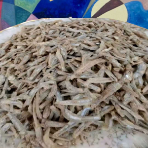 Ikan Kering Teri Asin 100 grm 250 grm 500 grm 750 grm 1kg Olahan Nelayan Indonesia