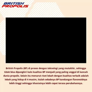 British Propolis Original 100% Asli untuk Anak dan Dewasa