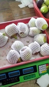 Buah Tin Yordania Fresh 150 Gram Panen Dadakan