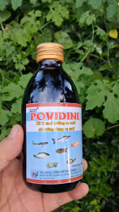 Mpt Povidine 250ml – Sát Trùng Dụng Cụ Xử Lý Môi Trường Ao Nuôi Thủy Sản