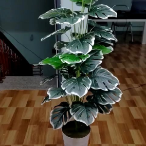MUA CÂY TẶNG CHẬU- Cây giả cây trầu bà lá rách viền trắng cao 70CM trang trí cafe nhà hàng nhà cửa...