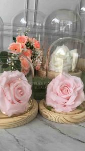 Kubah Kaca Flower Dome & Gelas Kaca Klasik: Dekorasi dan Taman