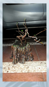 pot bonsai pot tanaman hias motif batang kayu handmade