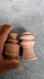 PION SANGKAR PERKUTUT MENTAH