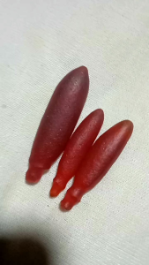 Pajangan Kembang Kantil Merah Batu: Dekorasi Rumah Tradisional