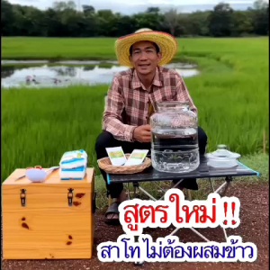 สาโท ผงแป้งสาโท สูตรไม่ต้องใช้ข้าว - การฉีดสาโท ที่ไม่ต้องซื้อข้าว
