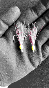 KAIL SABIKI ISI 5 PCS / KOTREKAN BULU MUTIARA GID