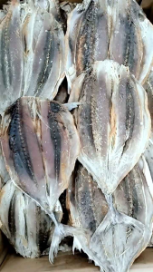 Ikan Asin Daging Tongkol Potong (sudah dipotong) Kualitas Super