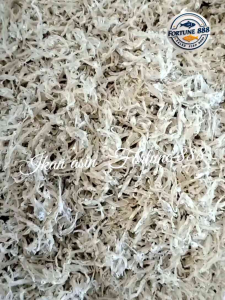 Ikan Asin Teri Nasi Tawar/Teri Medan Tawar Kualitas Export