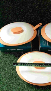 Tupperware 3Pcs Blossom Saucy Dish Tuffy