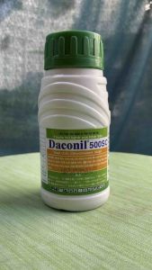 Thuốc trừ bệnh Daconil 500sc ( chai 240ml ) thương hiệu nhật bản