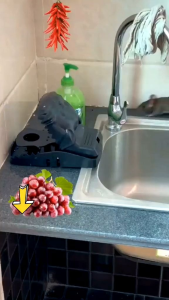 Perangkap Tikus Jebakan Tikus Mouse Trap Pest Control Penangkap Tikus